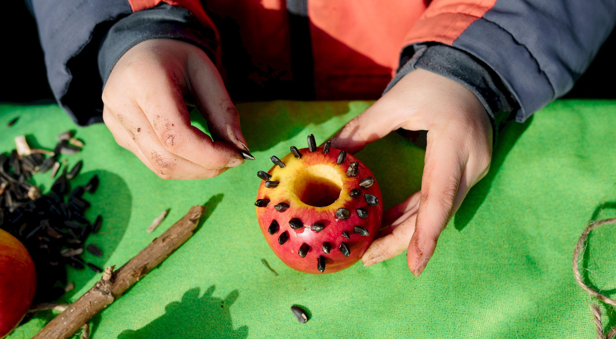 A young person piercing an apple with seeds